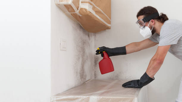 Professional Mold Testing technician working in Lyons, NJ